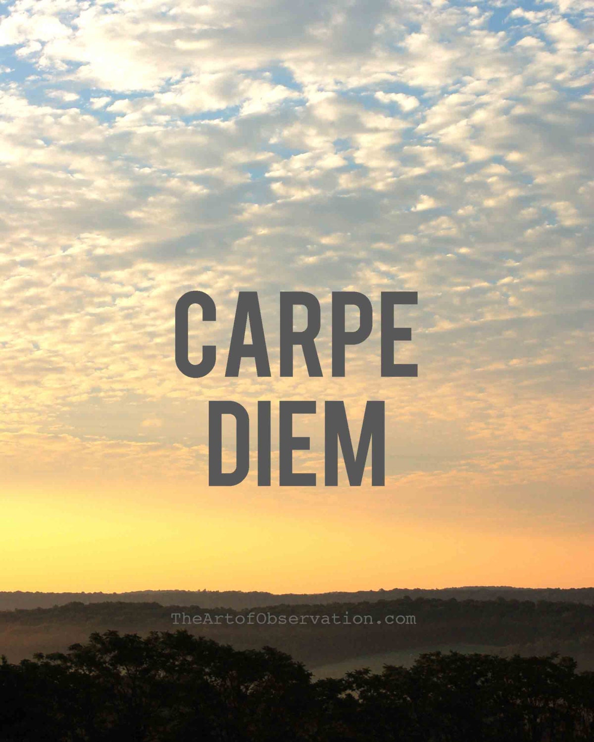 Seize The Day Motivational Quotes. QuotesGram