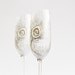Wedding Glasses Bleached Peacock Feathers Hand Painted Flutes Set of 2