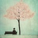 Under the cherry tree - Spring - Art print (3 different sizes)