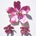 Vintage Metal Enamel Flower Rhinestones Brooch/Pin & Clip on Earrings Pink