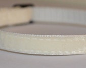 Dakota - Cream  velvet Cat Collar