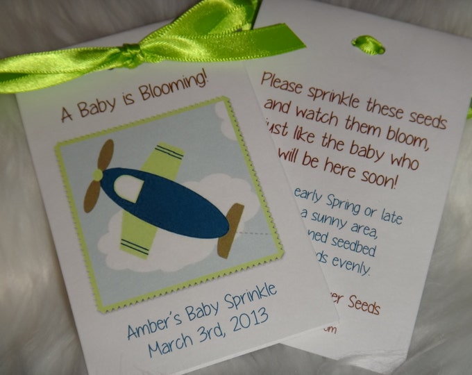 Airplane Baby Boy Baby Shower 1st Birthday Flower Seeds Party Favors for Baby Sprinkle or Baby Shower Sulu Gifts SALE