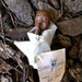 Rare Daddy's Long Legs 'Baby Jesse' Doll with Original Tag and Cloth