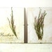 Pressed Herbs- Heather in Frame (2)