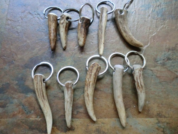 Deer Antler key-chains or zipper pulls all real antler by antler4u