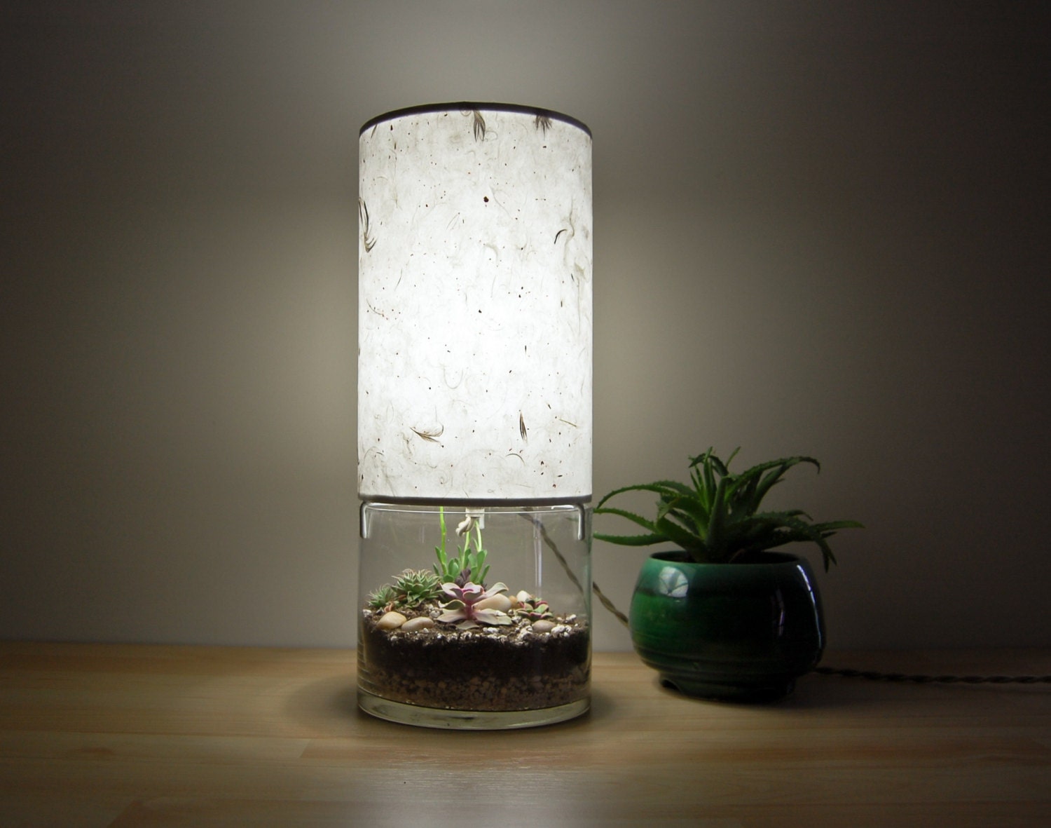 SALE // Round Terrarium/ Display Table Lamp with Handmade