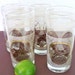 Vintage mid century bird drinking glasses with pheasant quail and duck white brown and gold design