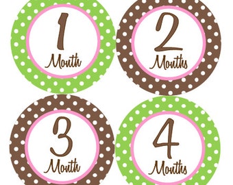 MONTHLY Milestone STICKERS Damask Baby Month by BabyStickerCo