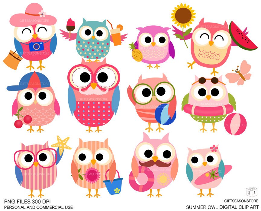 Summer owls Digital clip art for Personal and Commercial use