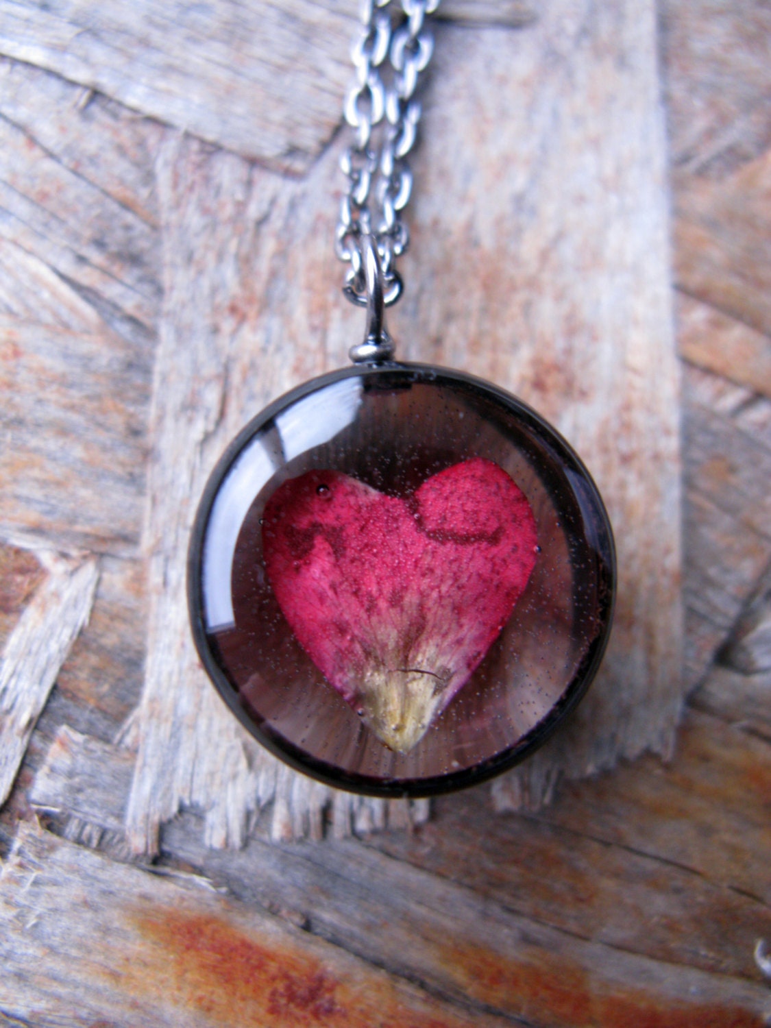 encased rose encased rose
