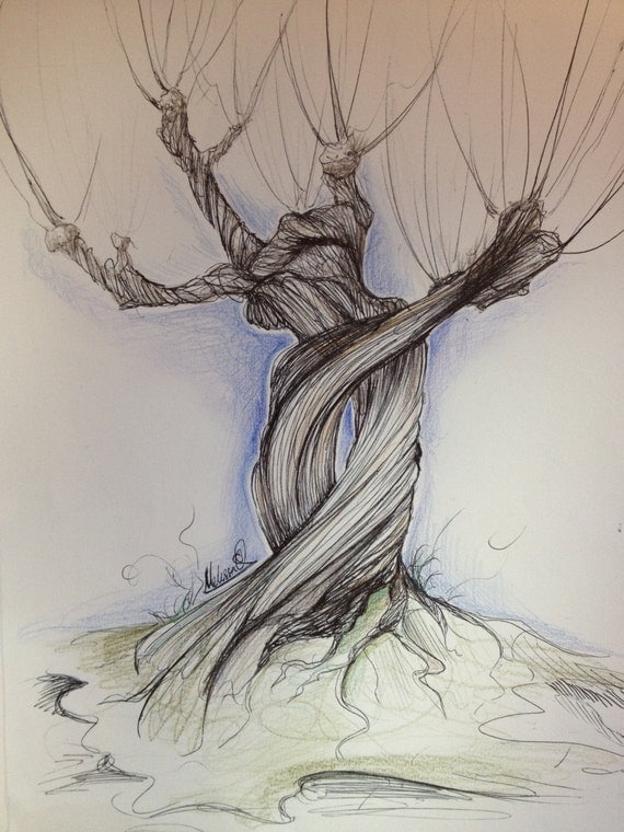 hogwarts whomping willow harry potter hogwarts whomping willow harry potter