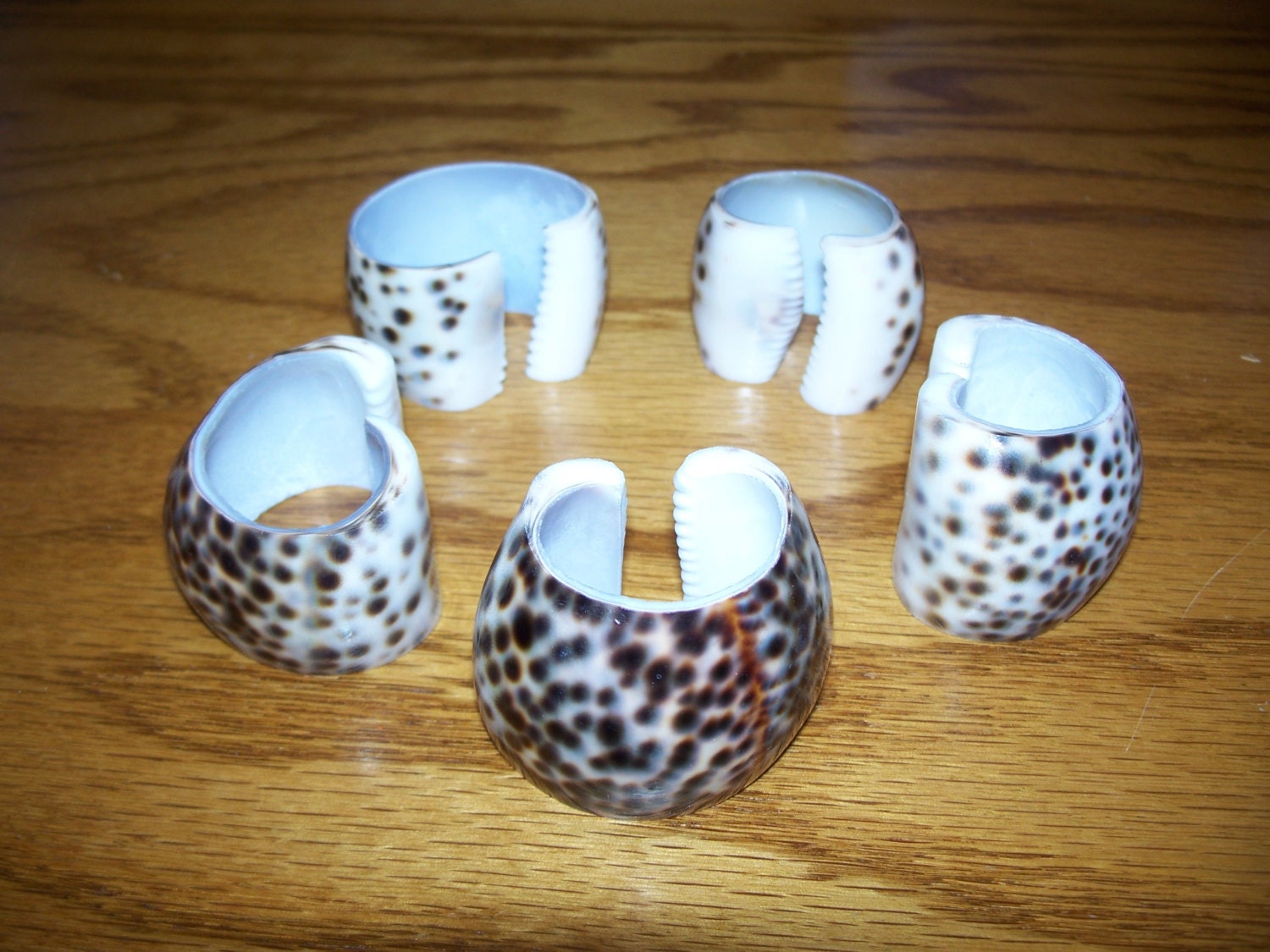 Unique Cowrie Shell Napkin Rings – Haute Juice