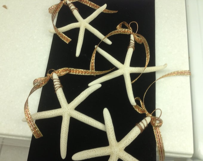Starfish Ornaments - Set of 4