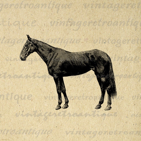 horse print clip art - photo #33