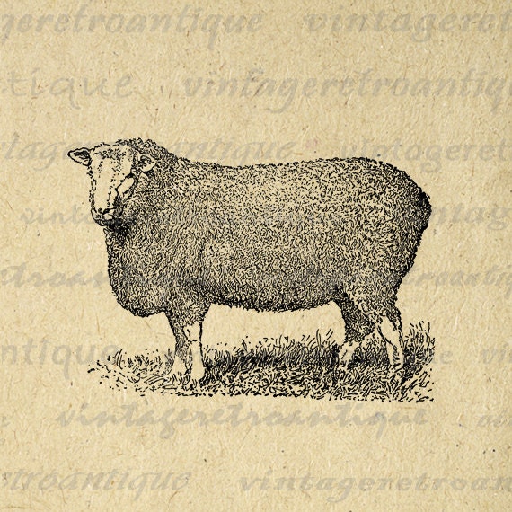 Digital Printable Antique Sheep Graphic by VintageRetroAntique