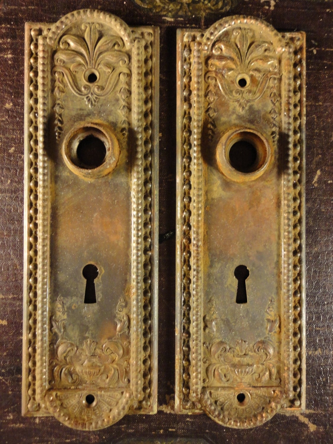 Ornate Antique Brass Door Knob Backplates