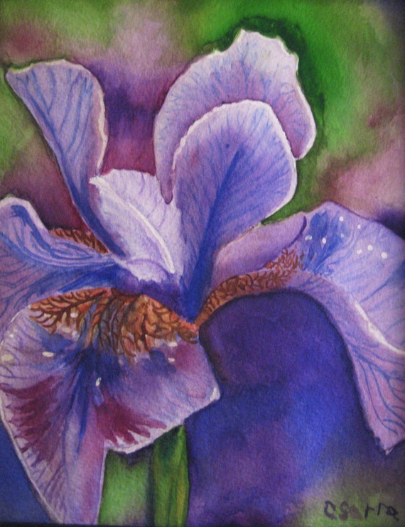 Purple Iris Watercolor painting of purple iris by CeeSarraArt