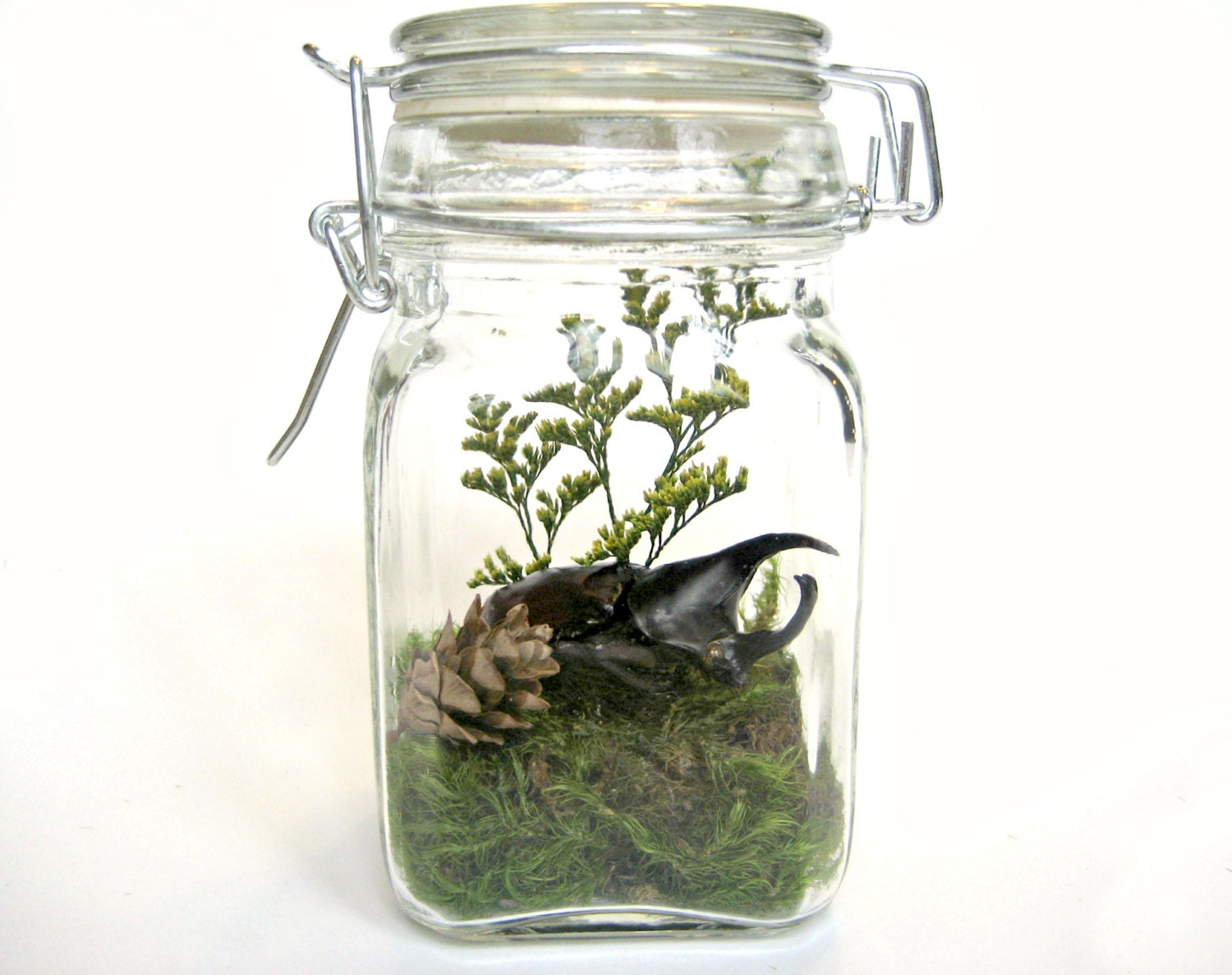 Bug Terrarium Kit Teacher Gift Insect by TheAmateurNaturalist