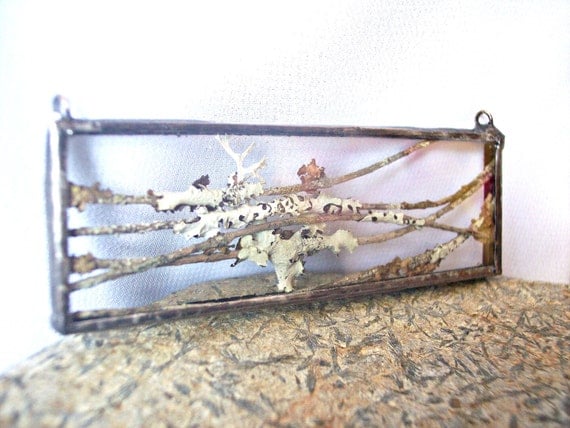 rectangular lichen and twig terrarium hand by waspishwears on etsy rectangular lichen and twig terrarium hand by waspishwears on etsy