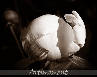 Custom Silhouette on Peony, Custom Portrait