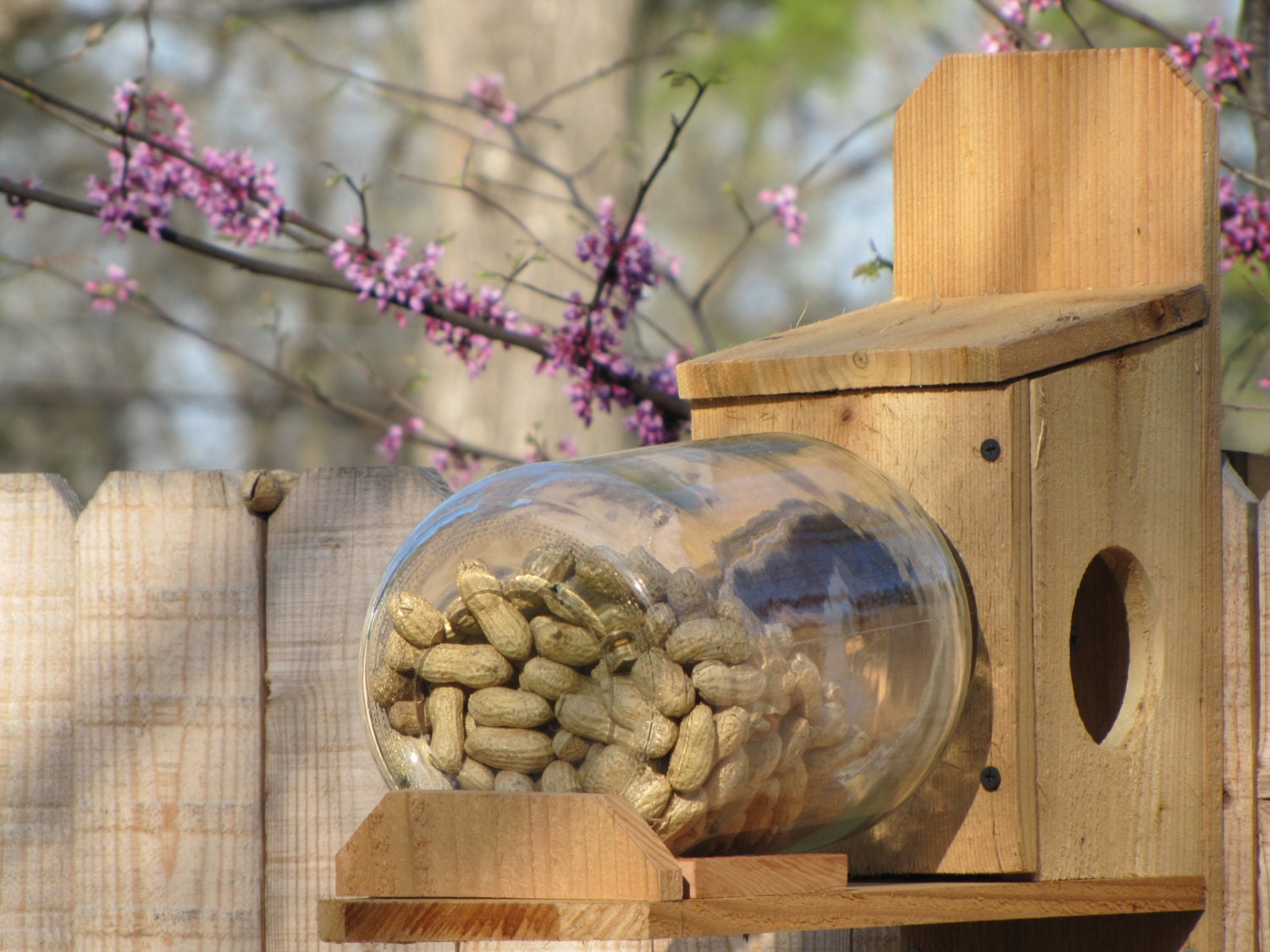 CEDAR Squirrel Feeder Wooden Backyard Nature Fall Garden CEDAR Squirrel Feeder Wooden Backyard Nature Fall Garden
