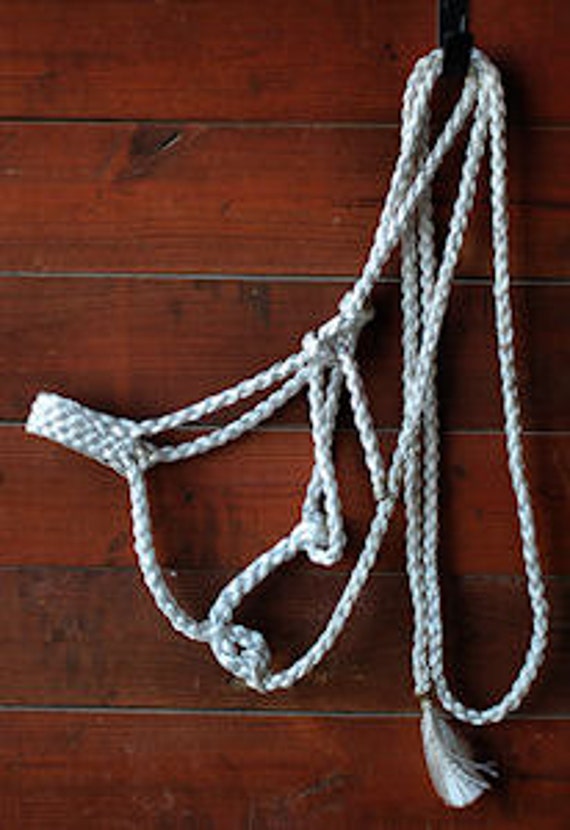 Items similar to HandBraided Mule Tape Horse Halter on Etsy