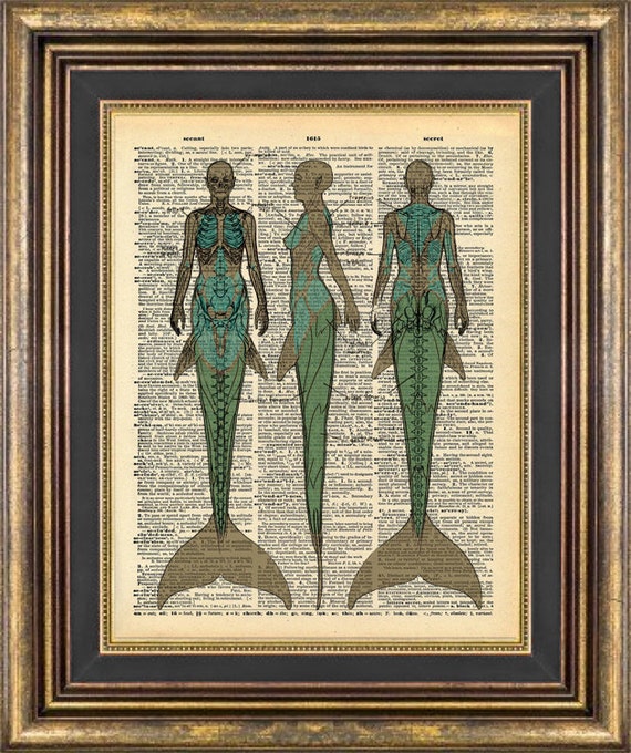 mermaid sequence diagram