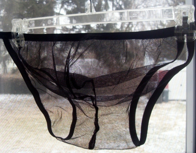 See Thru Sheer Bikini Briefs Black Stretch Mesh Underwear 