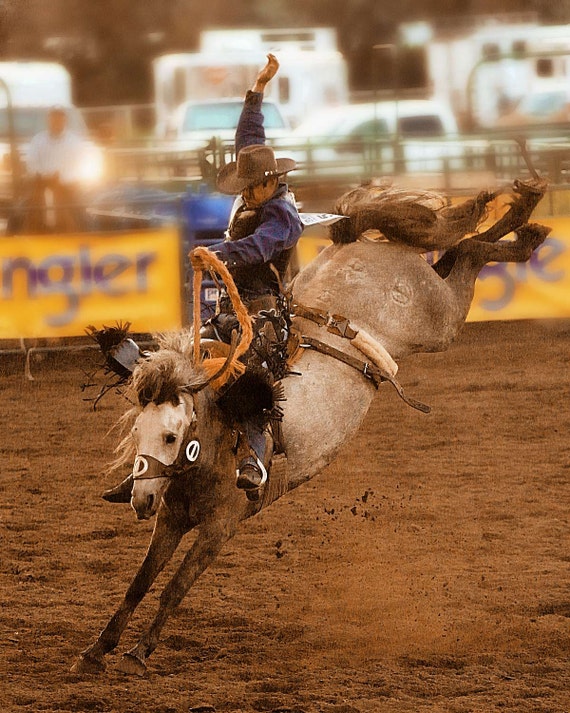 cowboy rodeo Wyoming horse bucking photography 8x10