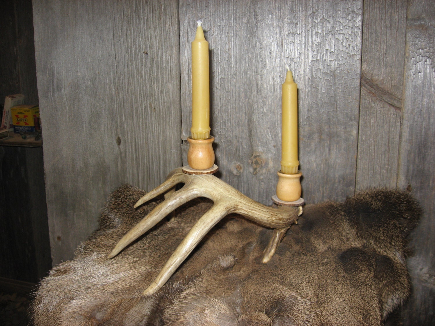 Deer antler candle holder with two candle cups.