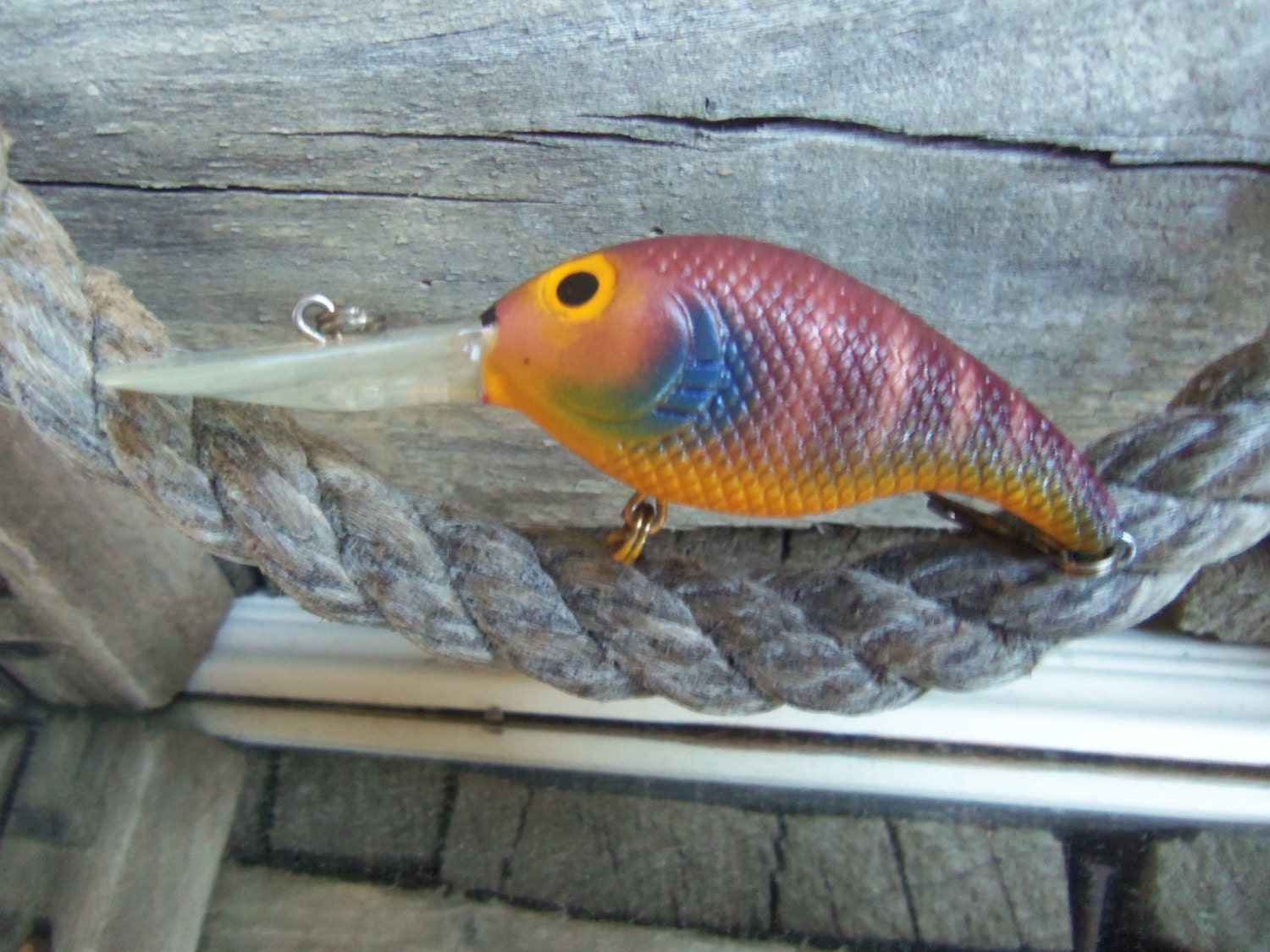 Custom Hand Made Hand Painted Crankbait Bluegill Fishing Lure   Il Fullxfull.413199987 Pkqr 