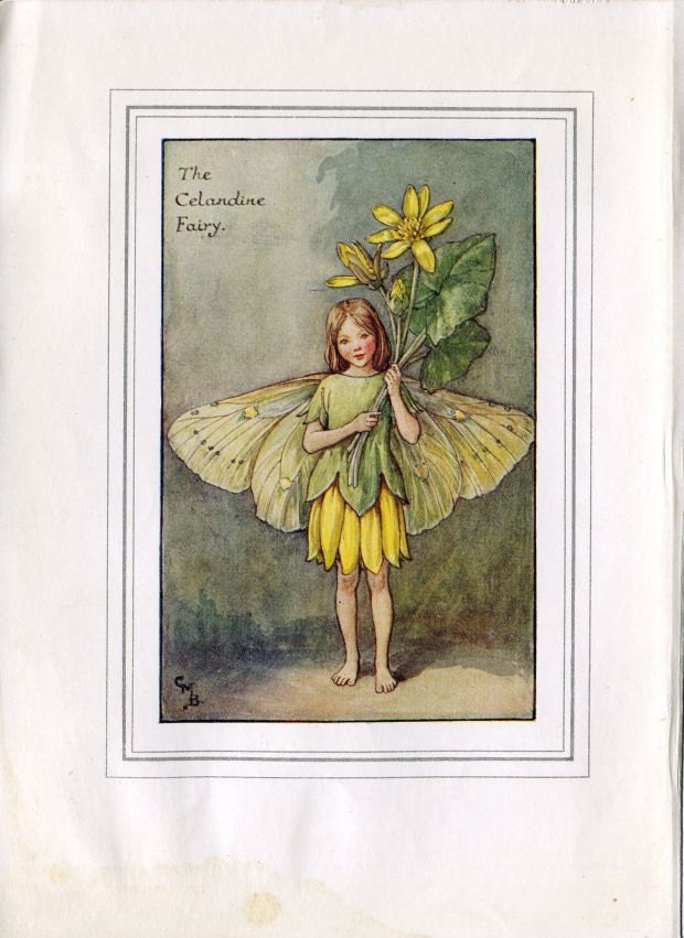 Celandine Flower Fairy Vintage Print c.1927 Cicely Mary