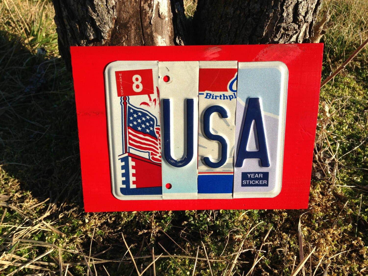 USA Custom Recycled LICENSE PLATE Art Sign