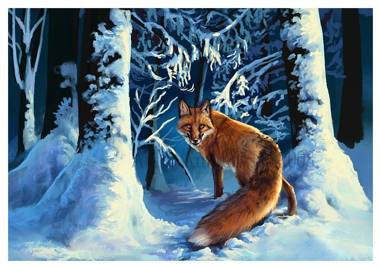 Red Fox and Snow Fine Art Print by AmberHillArt on Etsy