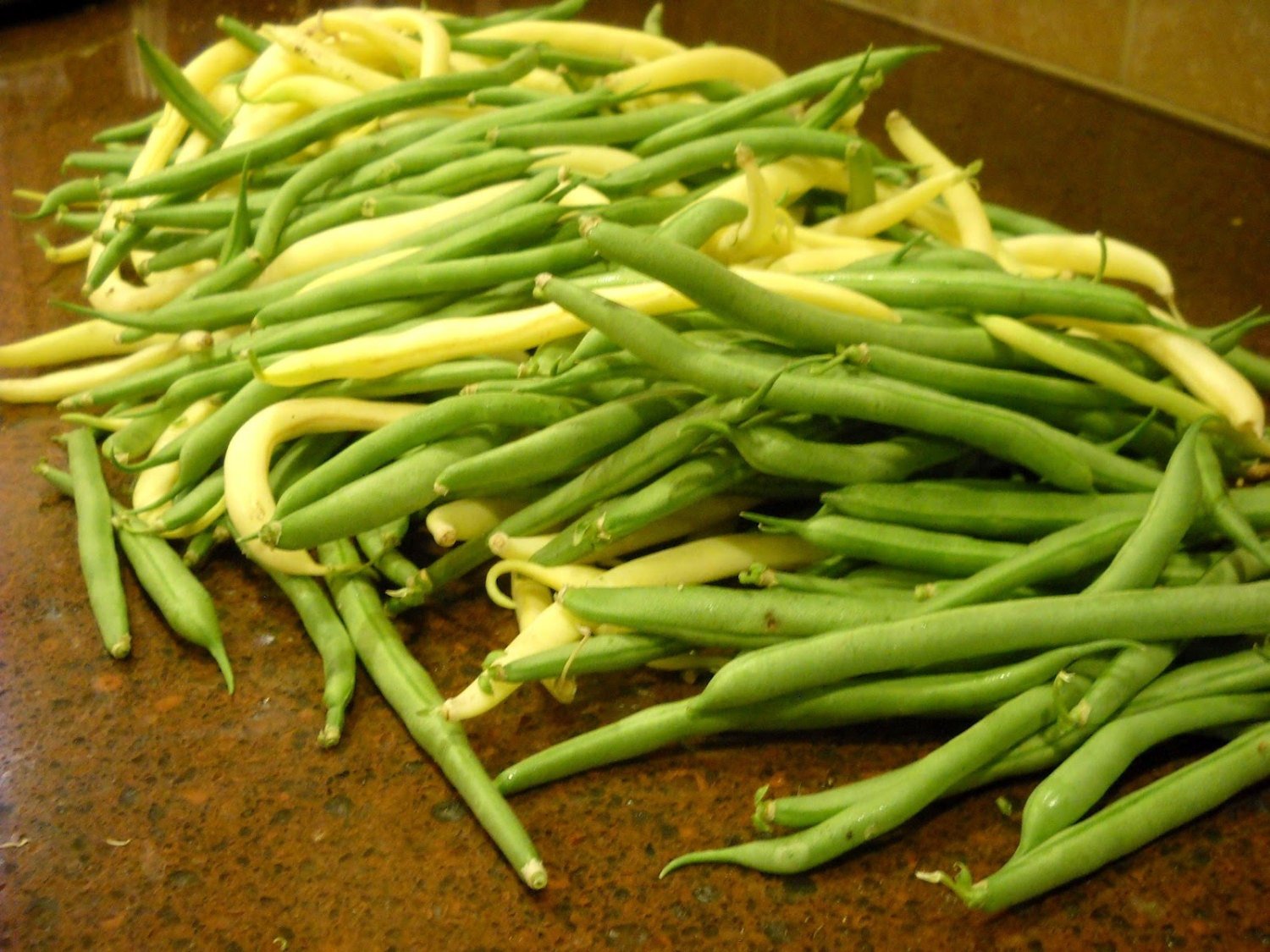 Golden Top Notch Wax Bean Seeds Vegetable by CaribbeanGarden