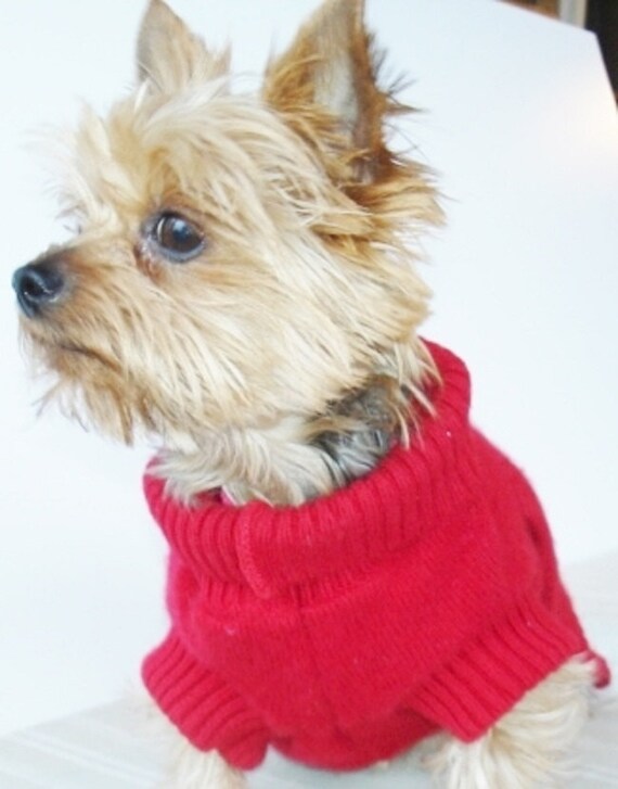 Dog Clothes Chic Cashmere Pet Sweater Ruby by ChicCanineCouture