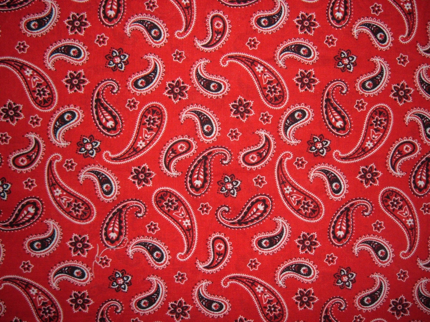 Red and black bandana paisley print cotton fabric 33 inches