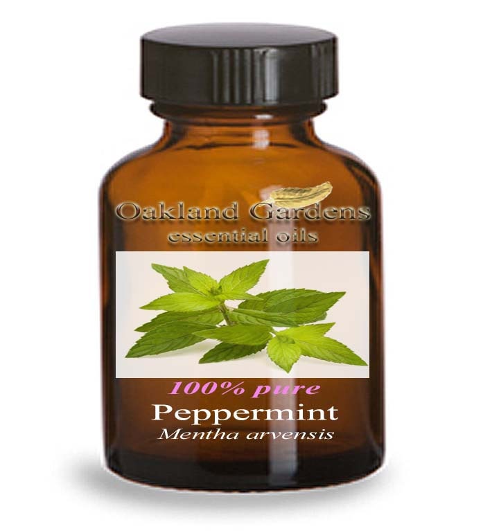 PEPPERMINT JAPAN Essential Oil 100 PURE Therapeutic Grade