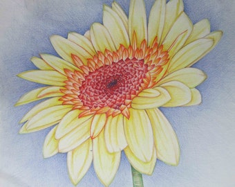 Pencil Art Work Muted Tone Sunflower Original by pencilartwork