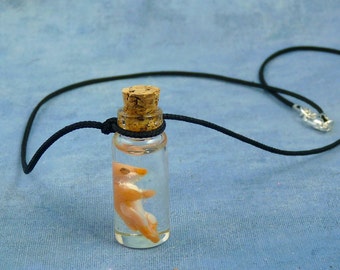 Bird Embryo Specimen Jar Necklace, Handmade Jewelry