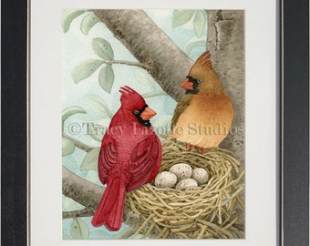 Bird Tree with Cardinals - archival watercolor print by Tracy Lizotte