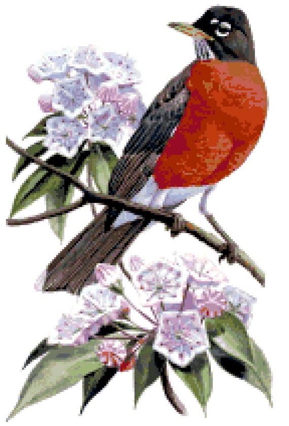 connecticut state bird flower counted cross stitch pattern connecticut state bird flower counted cross stitch pattern
