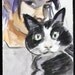 Cat Lady, watercolor on Rives BFK approximately 8"x10 by Kenney Mencher