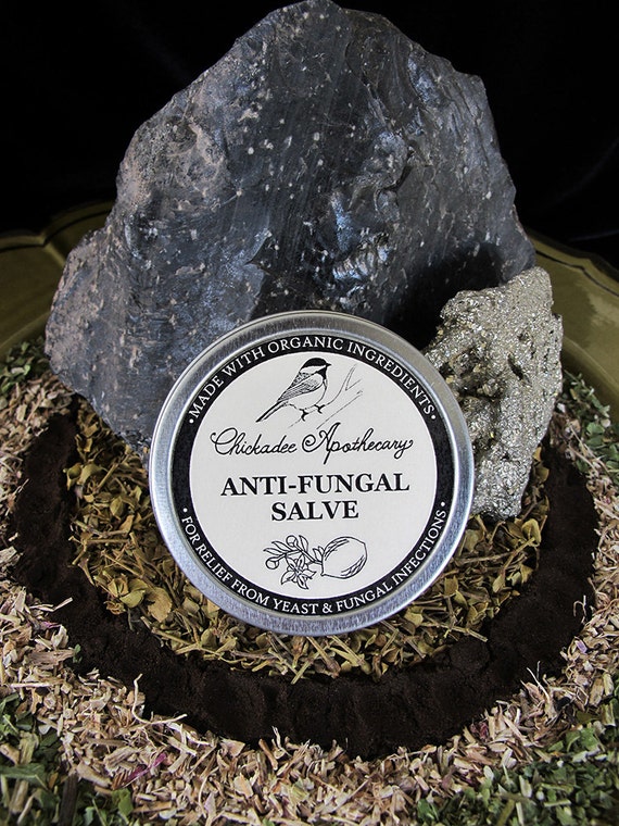Anti Fungal Salve with Black Walnut & by ChickadeeApothecary