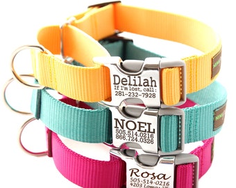 Buckle Martingale Dog Collar - Personalized with 18 Webbing Colors to Choose From