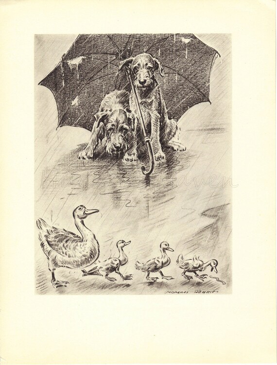 RAINY DOG DAYS Dog Print, Puppy Print, Dogs Book Page, 1940s Morgan Dennis, Black & White Wall Decor, Art Illustration, Animal Print, plate,