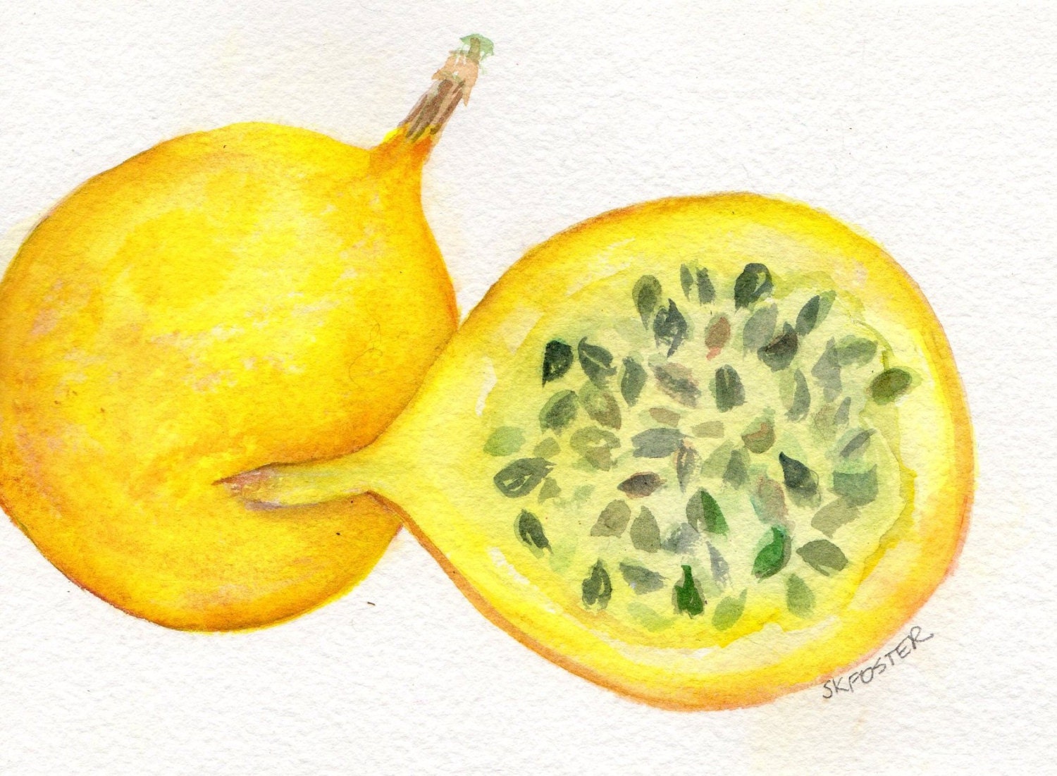 Passion Fruit Art