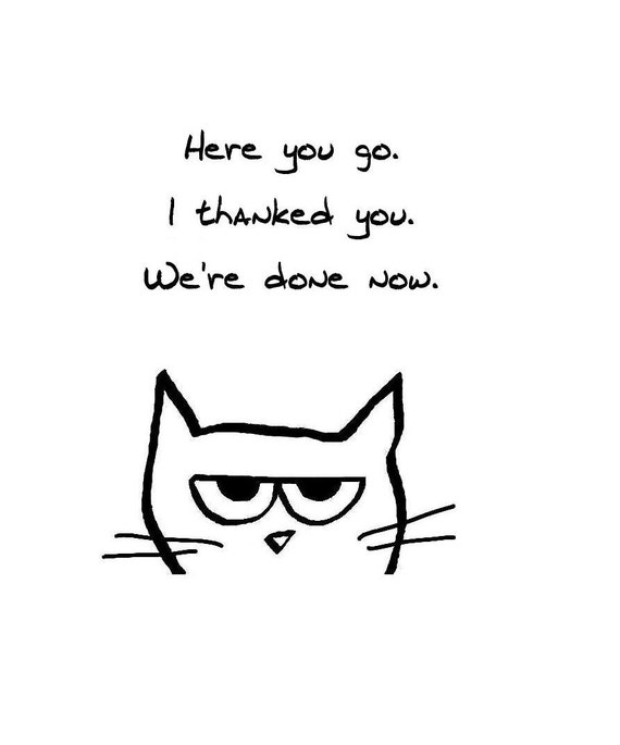 Angry Cat Begrudgingly says Thank You Funny by FunkyChicDesigns