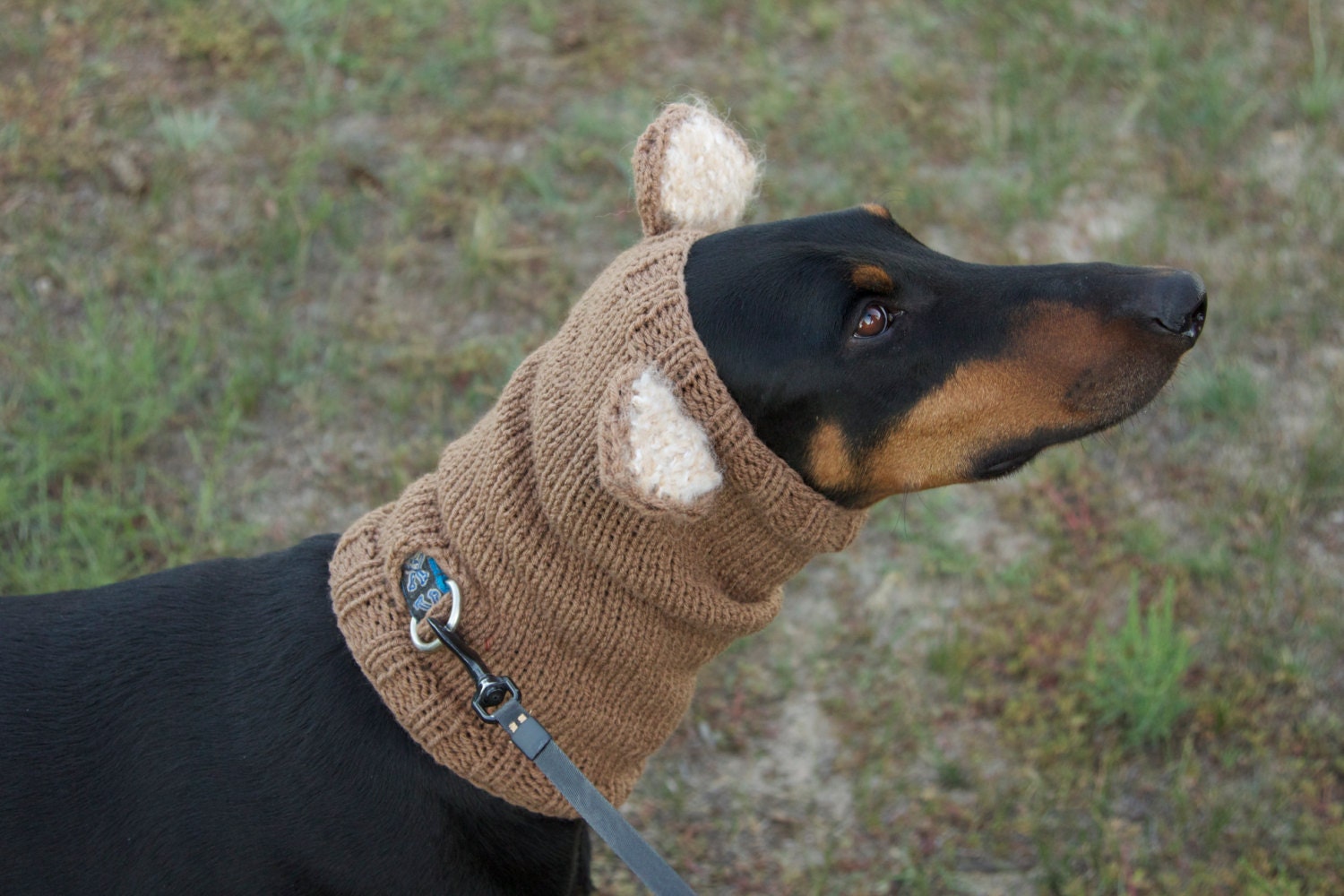 Knitted Dog Snood warm and cute with ears