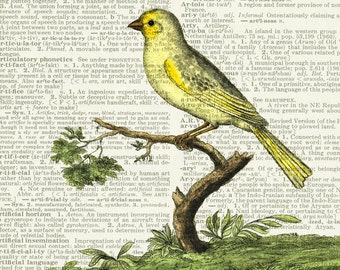 yellow canary page print